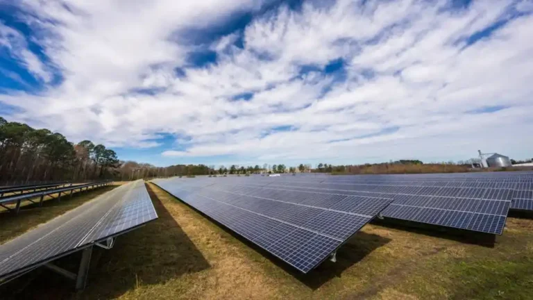 Treaty Oak Clean Energy Unveils 100 MW Solar Project in Grant County